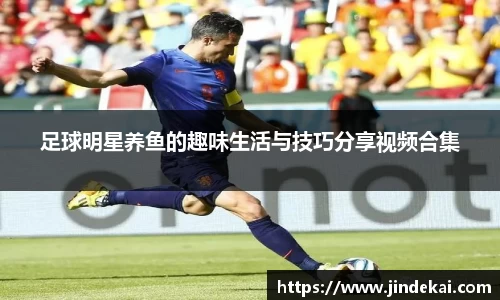 BB贝博艾弗森官网