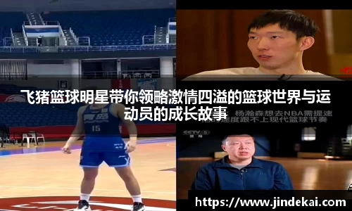 BB贝博中国官网